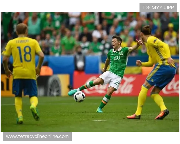 V站体育电脑版下载安装指南帮助玩家轻松畅享高清赛事直播体验