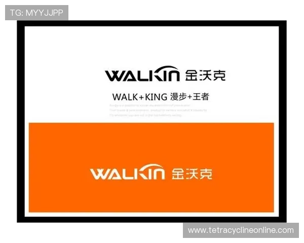 八戒体育最新赛事资讯与分析，助你做出更明智的投注决策