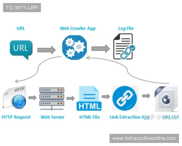 星空体育网址入口:不同设备访问的优化设置与使用体验提升
