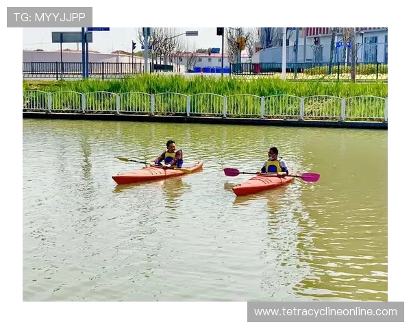 英亚体育平台全面升级，打造多元化体育娱乐生态系统引领行业新风尚