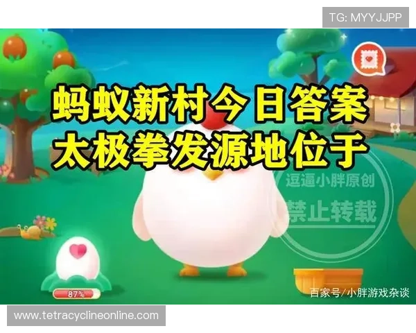 探索B体育国际官网入口的多种登录渠道与使用技巧