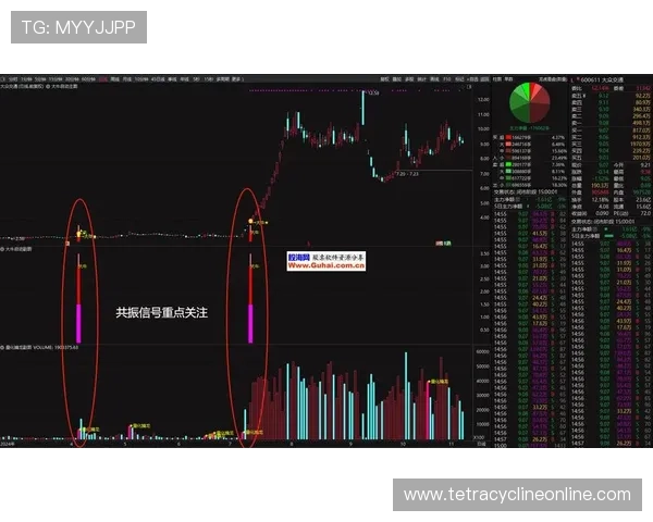 龙8体育投注技巧与策略分享提升你的中奖几率和盈利能力