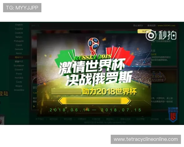 世界杯期间新西兰对比利时比赛网络赌球风险防控指南与安全建议